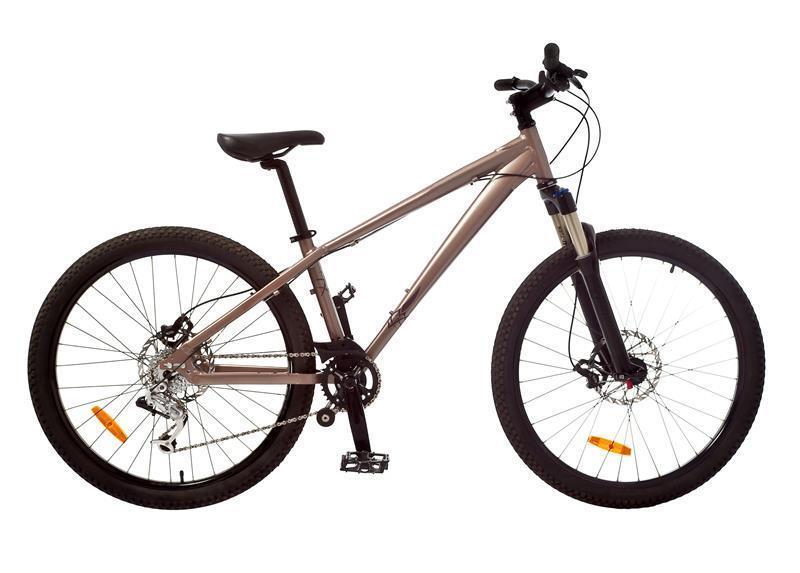 Damen-Mountainbike 48 cm